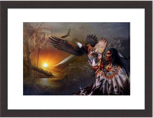 North American Indian Framed Print